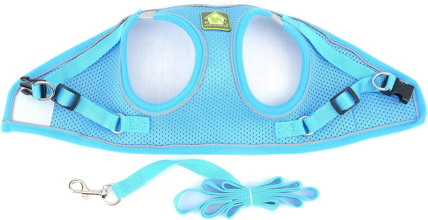 Zunea Small Dog Harness and Lead Set No Pull Puppy Vest Harnesses Adjustable Reflective Soft Mesh Step-in Pet Cat Harness Escape Proof for Walking Bright Colors for Dogs Lightblue XL - Image 5