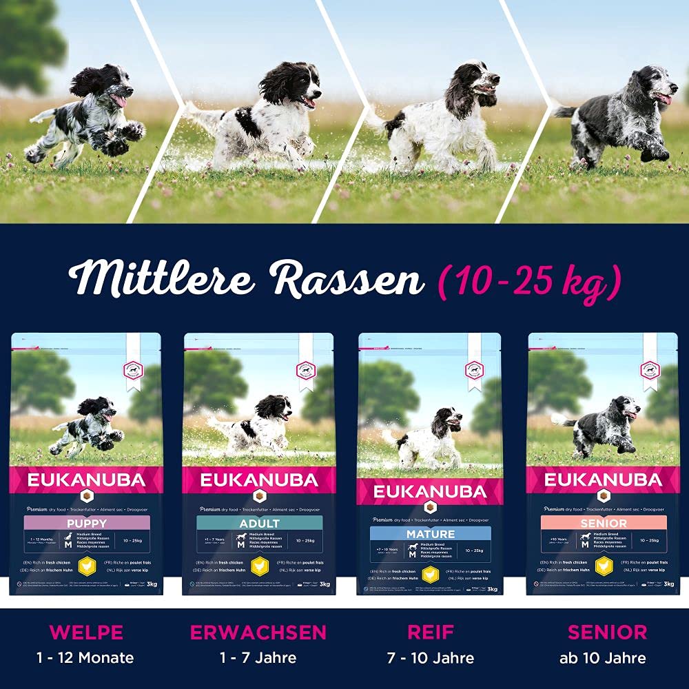 Eukanuba Hundefutter mit frischem Huhn für mittelgroße Rassen, Premium Trockenfutter für ausgewachsene Hunde, 15 kg