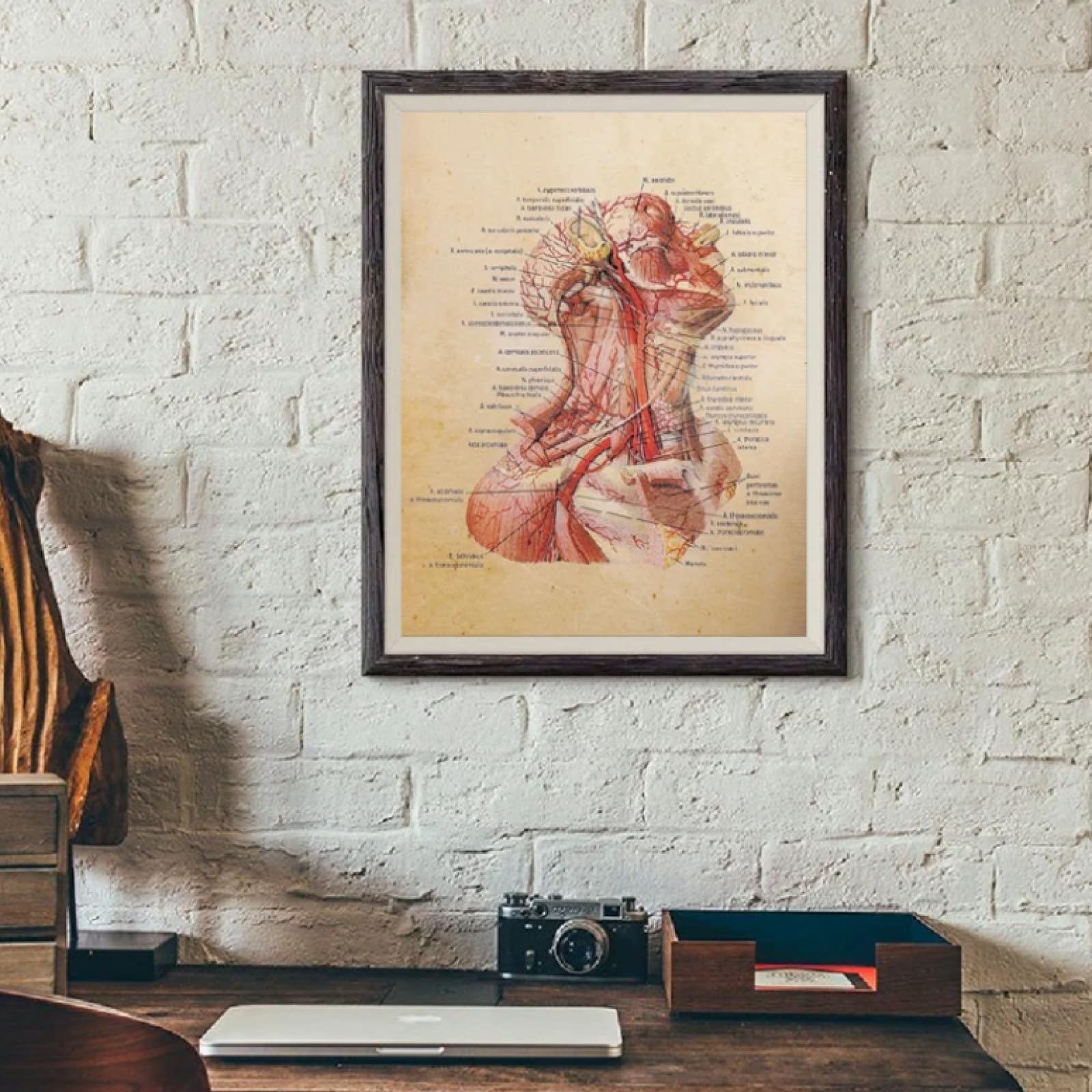 Amazon.co.jp: TYBBAG 詳細な首の解剖図ヴィンテージポスター