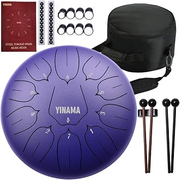 Steel Tongue Drum Percussion Instrument 11 Notes 12 inches