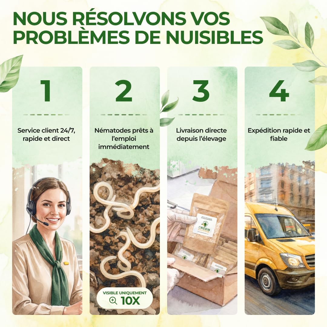 GREEN GUARDIA Power HB Nématodes contre le charançon et les vers fil-de-fer - 25 millions (50 m²) - Lutte antiparasitaire biologique, respectueux de l'environnement, sans produits chimiques. Facile à