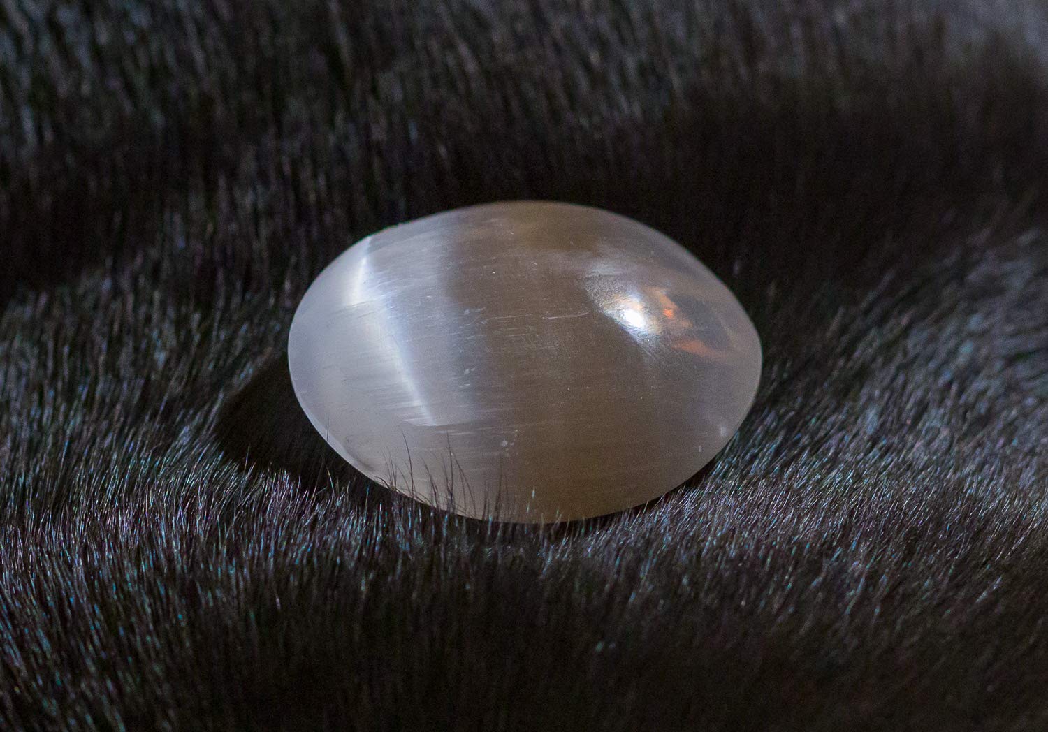 CrystalAge Bloodstone Extra Grade Tumble Stone (20-25mm) - Pack of 5