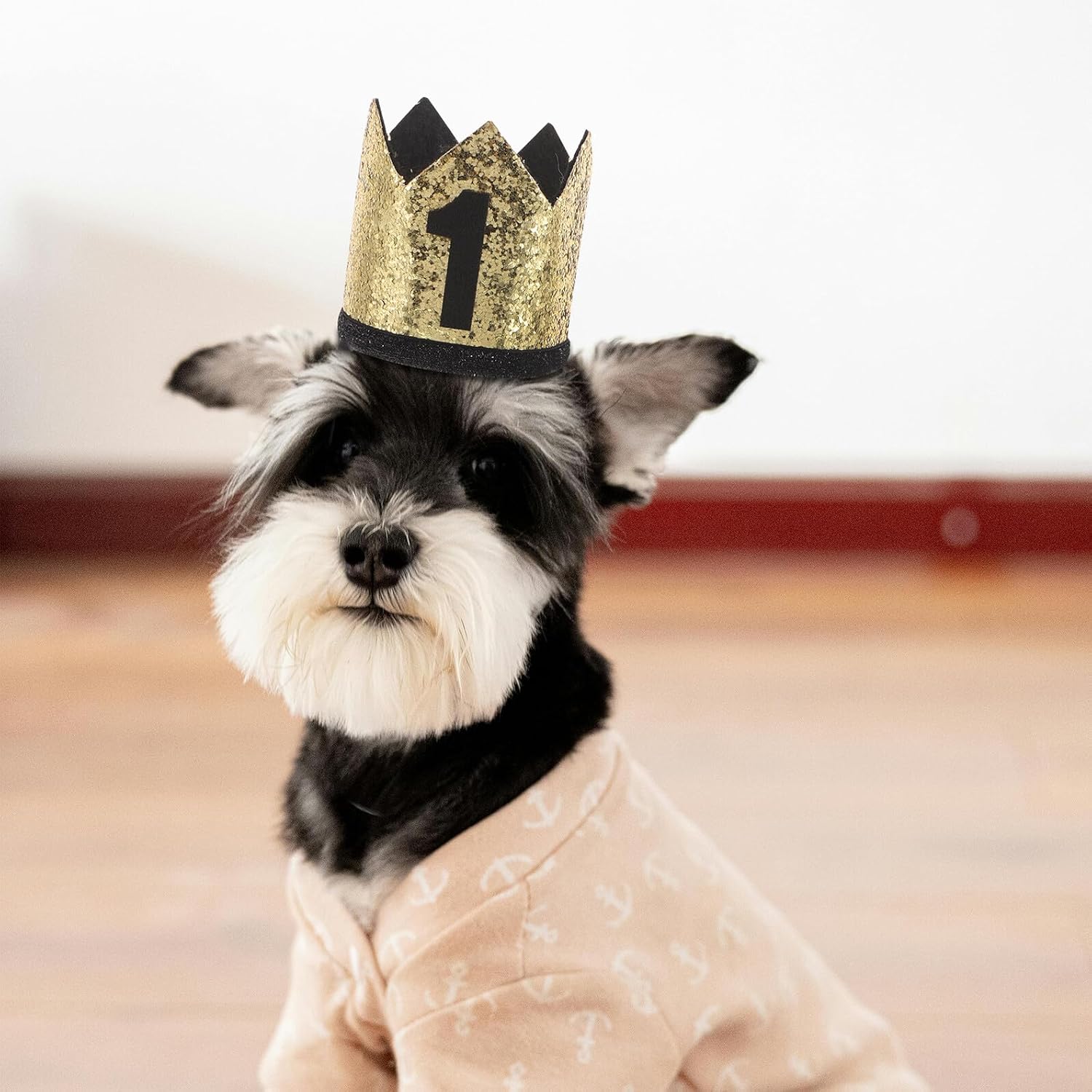 Cabilock Dog Birthday Hat Crown for Small Dogs Mini Pet Party Hat with Adjustable Strap Cute Birthday Decoration for Puppies and Cats Accessory