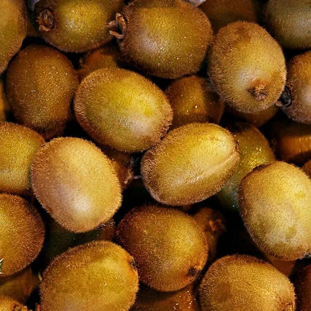200pcs graines de Fruits de Kiwi graines de Kiwi sans OGM graines d'arbres fruitiers vivaces biologiques Pour la Plantation ne nécessitent pas Beaucoup de Soin valeur ornementale