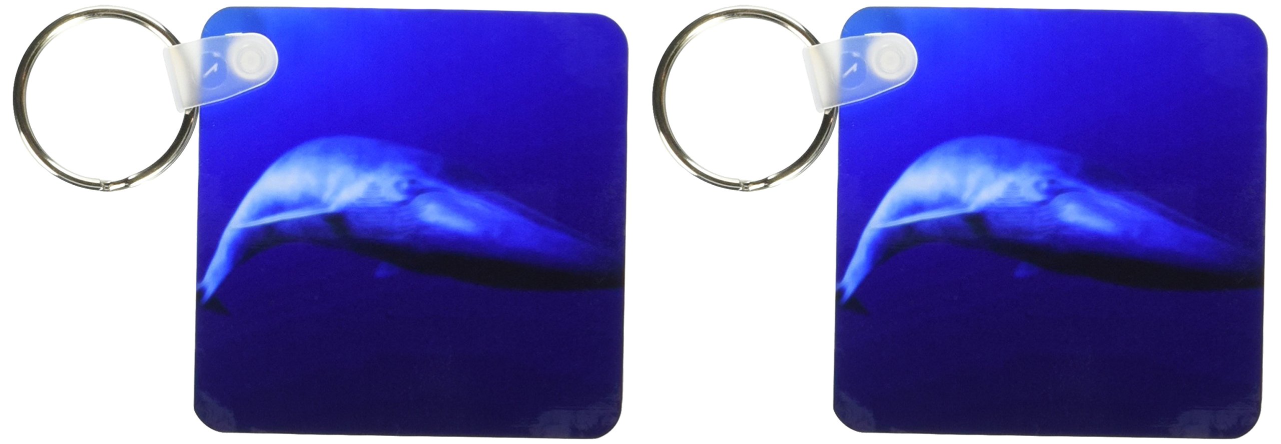 Baleine bleue porte-clés anti-perte grand format - 3