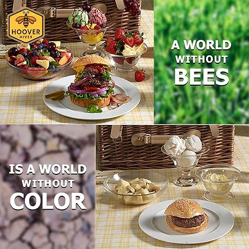 Miniatura 4 de Hoover Hives 8 marcos de colmena Langstroth sumergido en cera de abeja 100% incluye marcos de madera y bases enceradas (2 cajas profundas, 1 caja