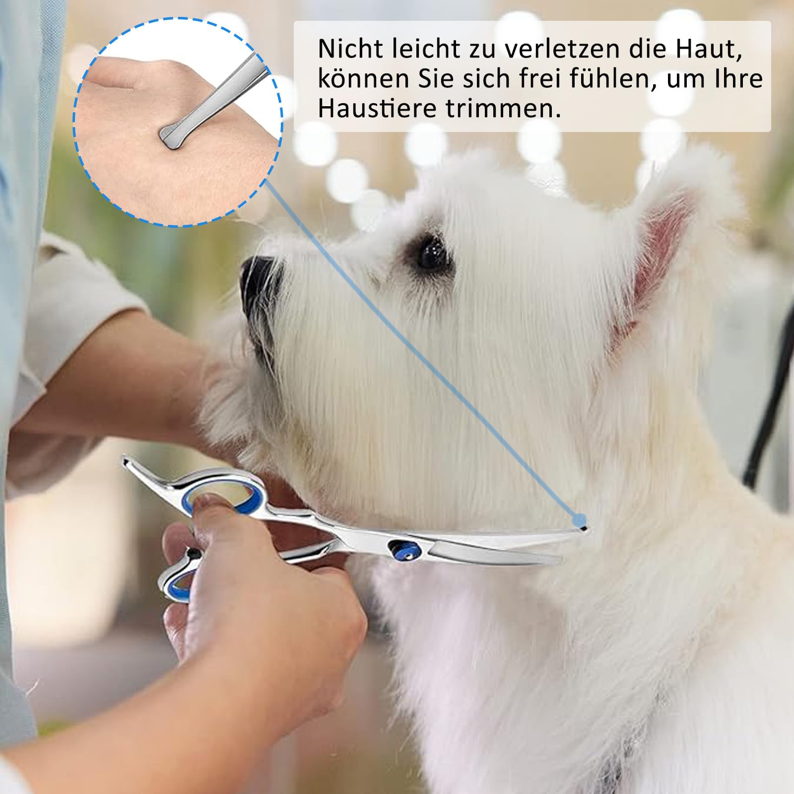 Ciseaux de toilettage pour chiens et chats en acier inoxydable, bleu, moderne