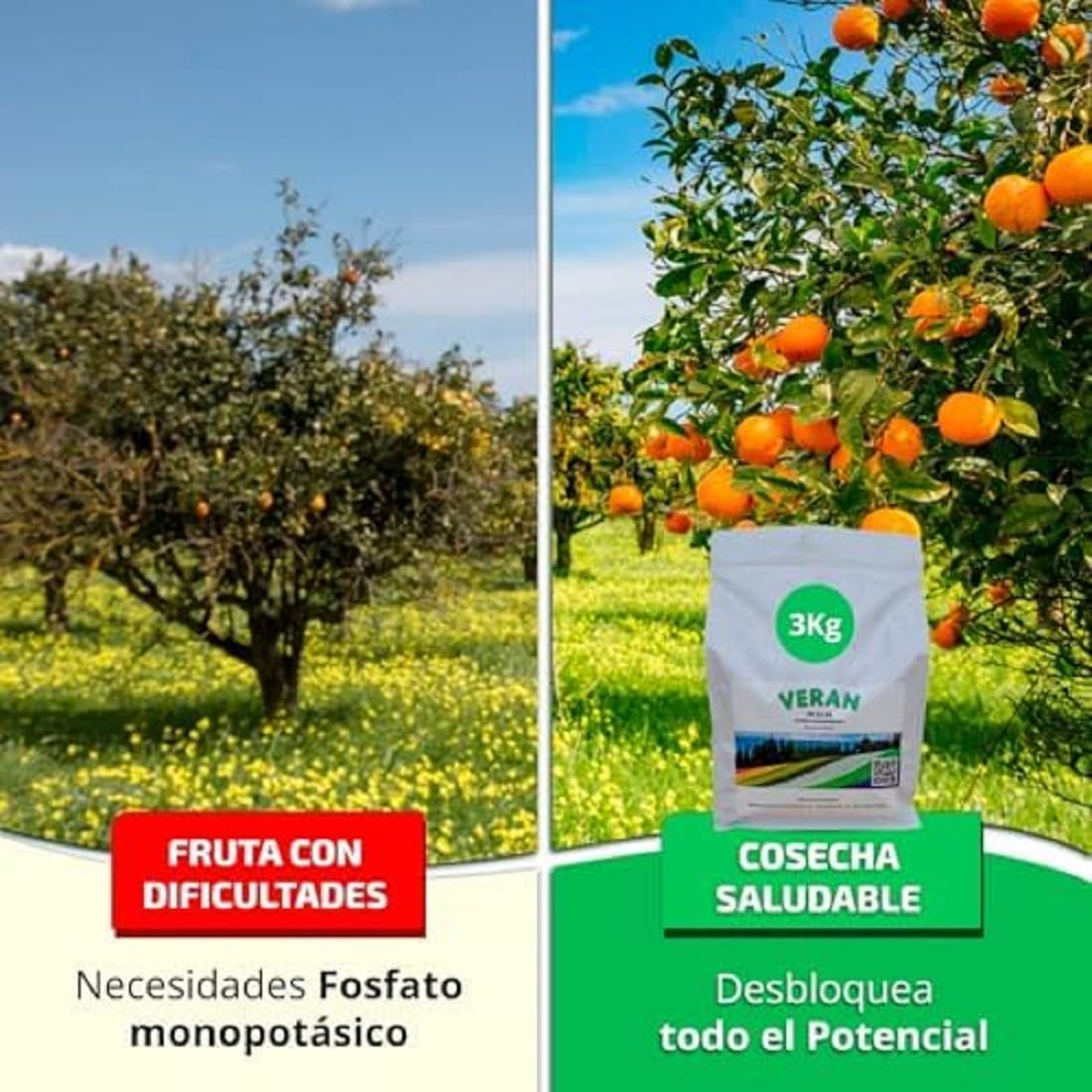 VERAN | Fertilizante de Fosforo y Potasio para Flores, Citricos y Huerto 3Kg | PK 52-34 | Estimula el Crecimiento y el Florecimiento Hidrosoluble | Fertilizante con Fosforo y Potasio