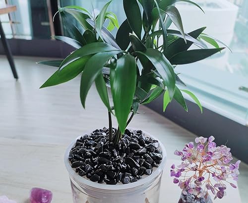 Vista 28 de ZHIYUXI Piedras de cristal de cornalina para pecera, grava, jarrón de relleno, cristales triturados, cristales curativos pulidos, piedra de cuarzo K