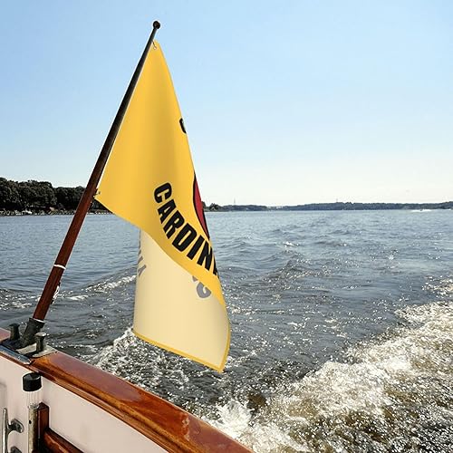 Miniatura 9 de Bandera decorativa de la Universidad Católica de América de 3 x 5 pies para exteriores, bandera de jardín, bandera individual para exteriores