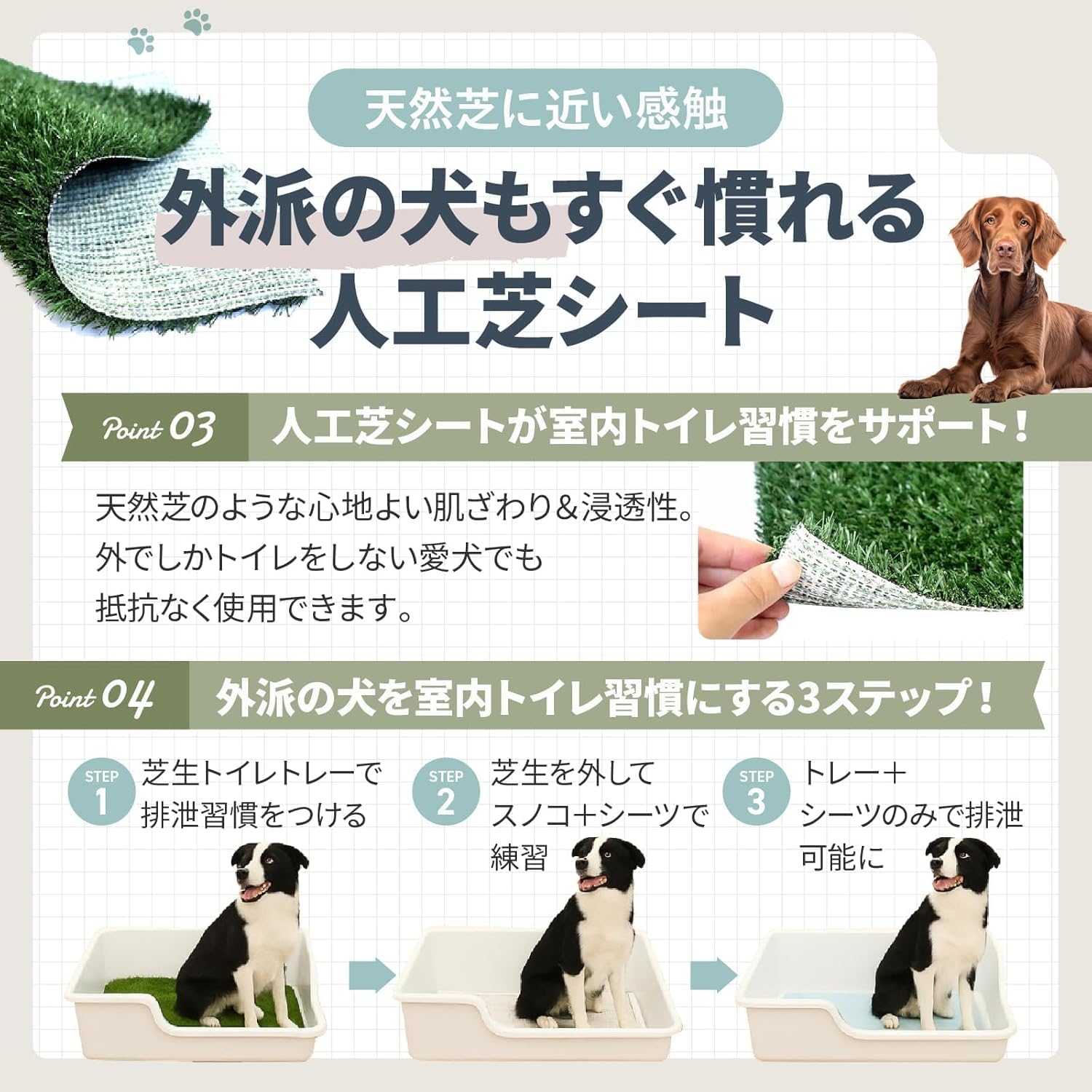 Amazon | 犬 トイレ トレー 特大 スーパー ワイド (グレー, 取替