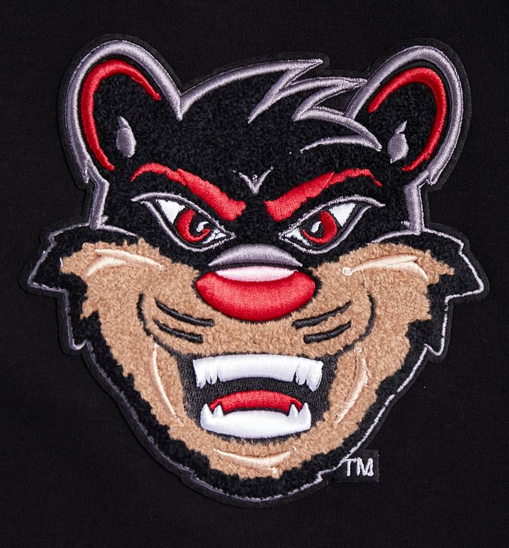 Pro Standard Mens College Classic Chenille Cotton Double Knit Pull Over Hoodie - Image 7