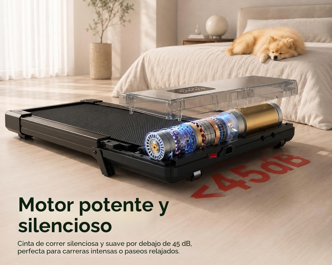 Cinta de correr para el hogar y la oficina - Bicicleta estática compacta, superficie silenciosa, diseño plegable, ahorra espacio para el ejercicio diario
