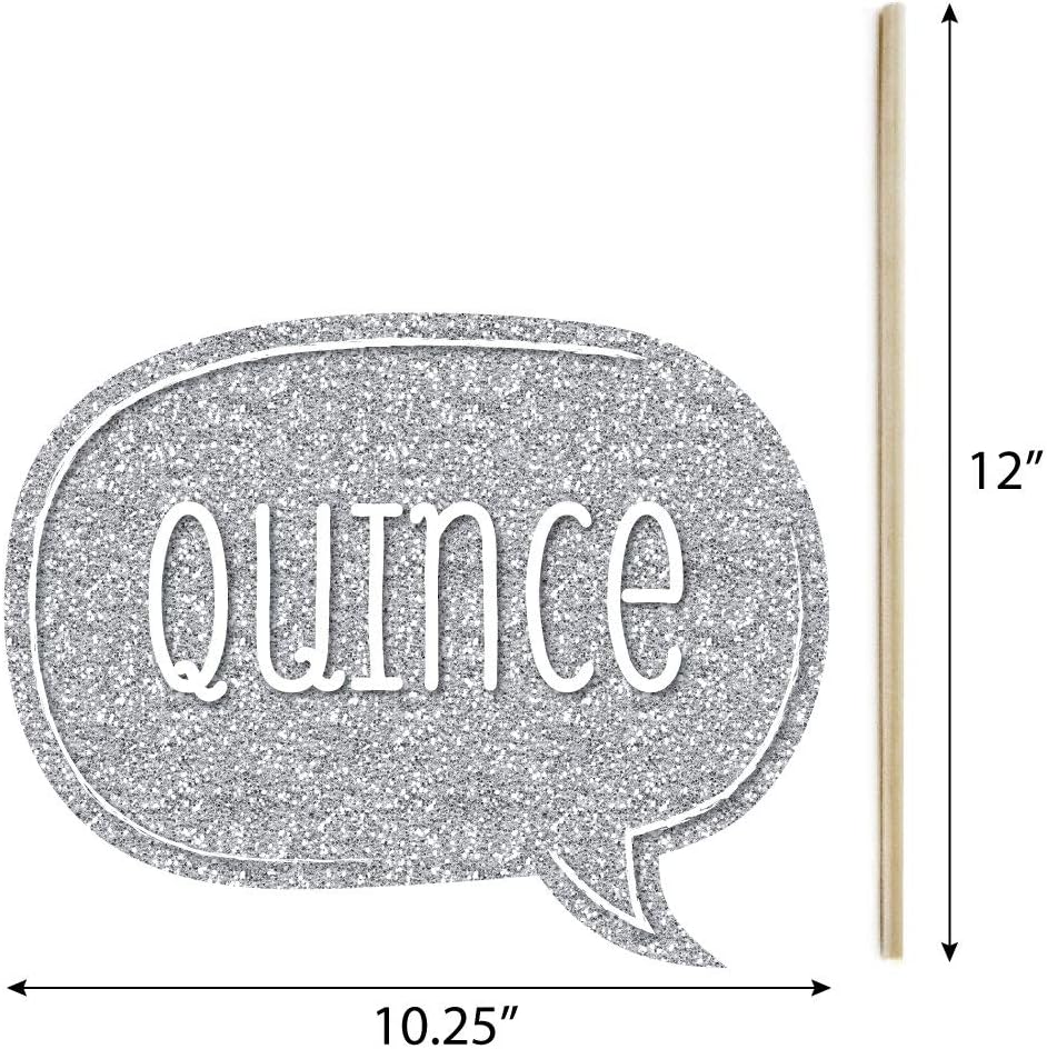 Quinceanera Purple - Sweet 15 Photo Booth Prop Kit, DIY Props - 20pc