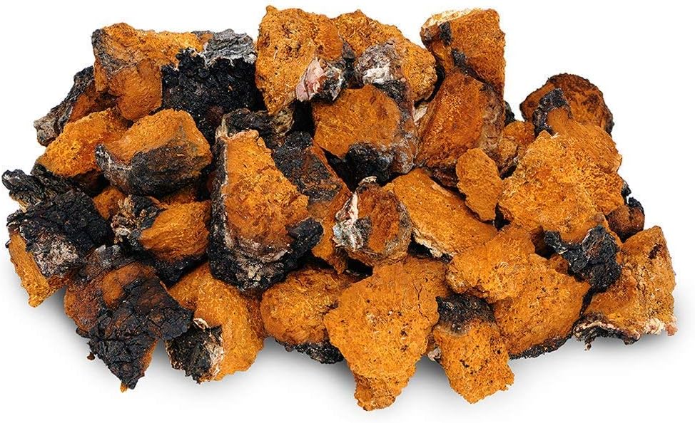 HarvestedByHand Chaga Small Chunks 4 oz Organic 240+ Servings Wild Harvested Canadian Chaga - Only the Best - Mushroom Tea Ready to Brew - Includes Black Outer Crust