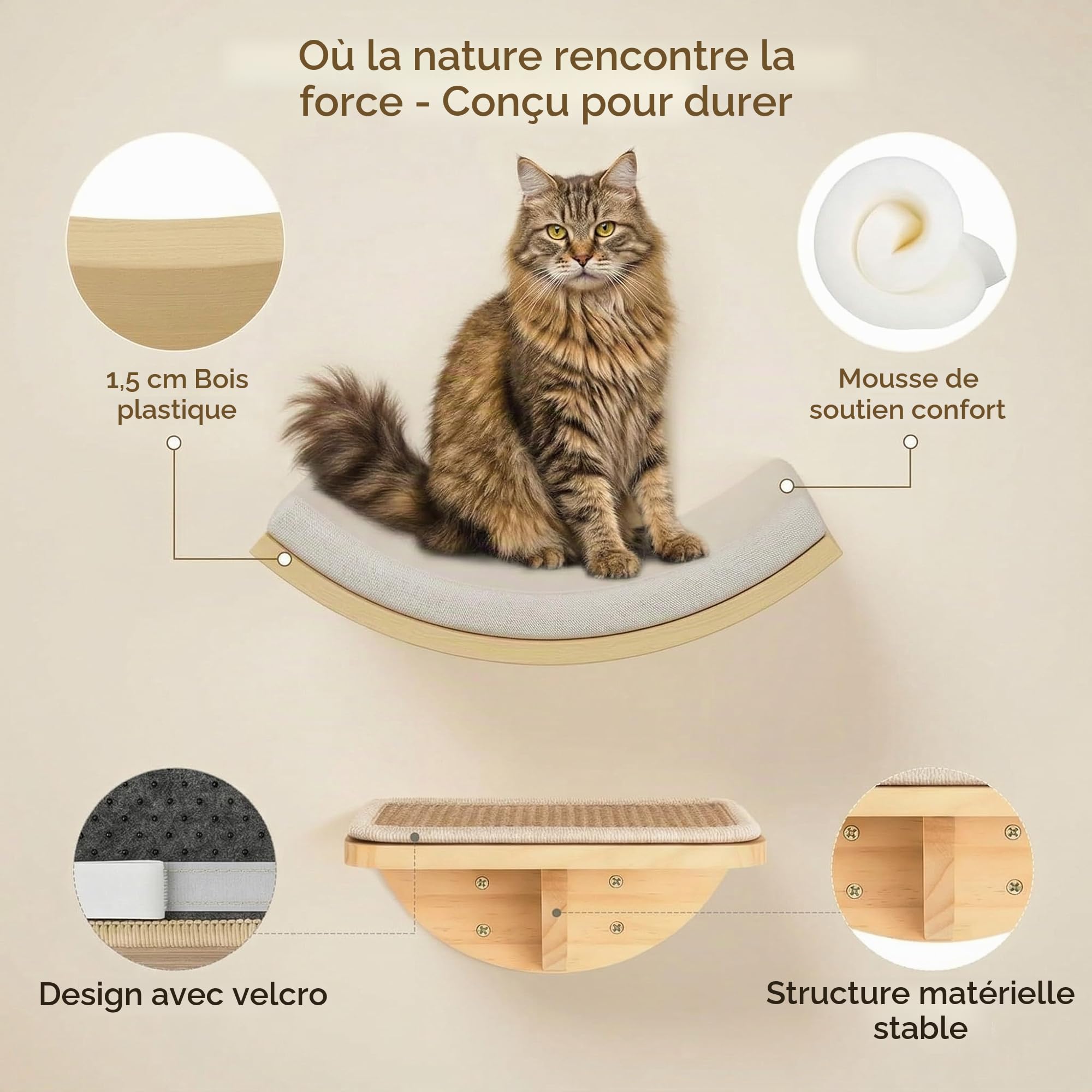 Étagères murales pour chats avec tapis en éponge, arbre d'escalade pour chat avec 2 marches carrées et plateformes incurvées, ensemble de meubles muraux en bois pour chat pour dormir et jouer