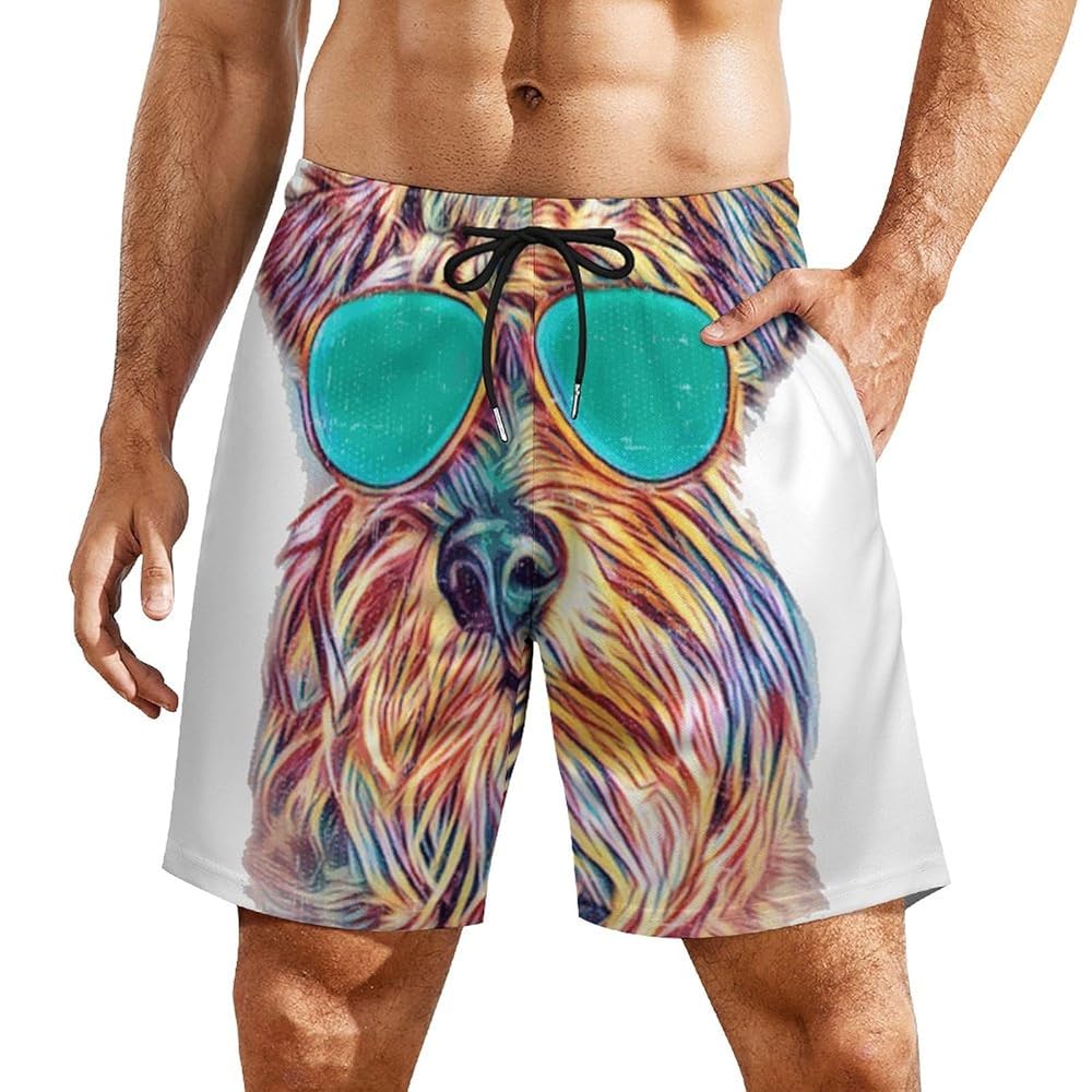 シルピア Lサイズ メンズショーツ 4枚セット Amazon.co.jp: [XIMENPER] ハワイ風 ビーチパンツ 水着 メンズ