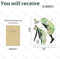 Vista 4 de Calcomanía de pared de camaleones, diseño de lagarto y animales, extraíble, impermeable, para decoración de pared, para niños, bebés, aula