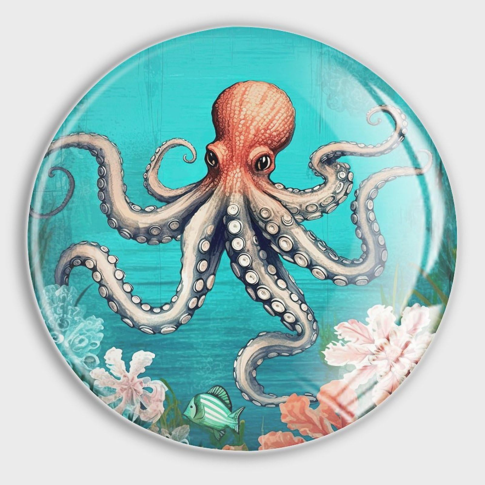 Aimants puissants en verre motif poulpe océan pour décoration