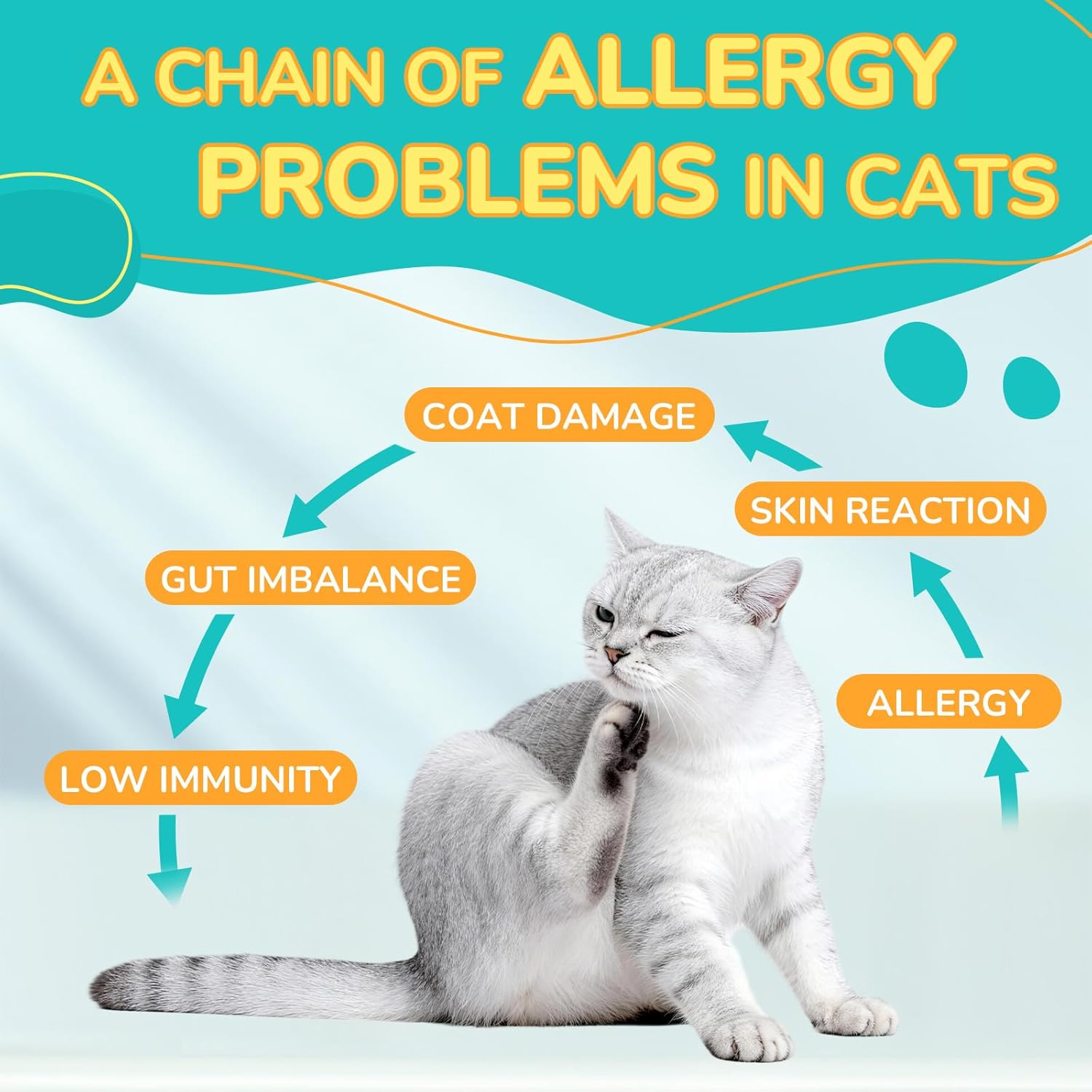 Woyamay Cat Allergy Relief for Cats with Probiotics, 500 Crunchy Cat Probiotic & Allergy Chews, Cat Allergy Treats to Stop Itching & Scratching, Probiotics for Cats Support Gut Health, Chicken Flavor