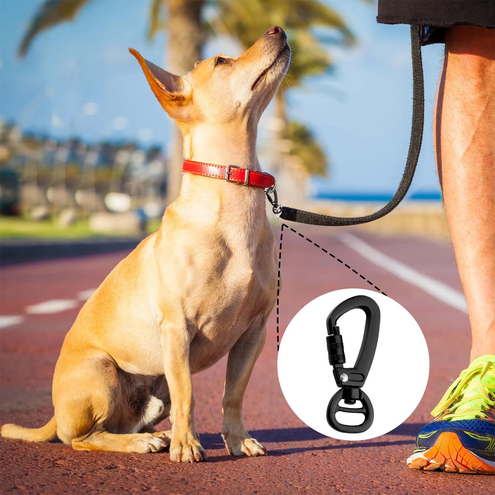 hundebett wasserdicht inkontinenz Orthopdisches Hundekissen Inkontinenz