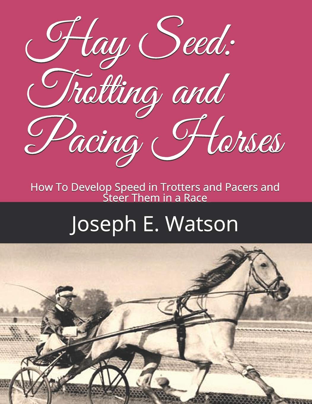 Hay Seed: Trotting and Pacing Horses: How To Develop Speed in Trotters and Pacers and Steer Them in a Race