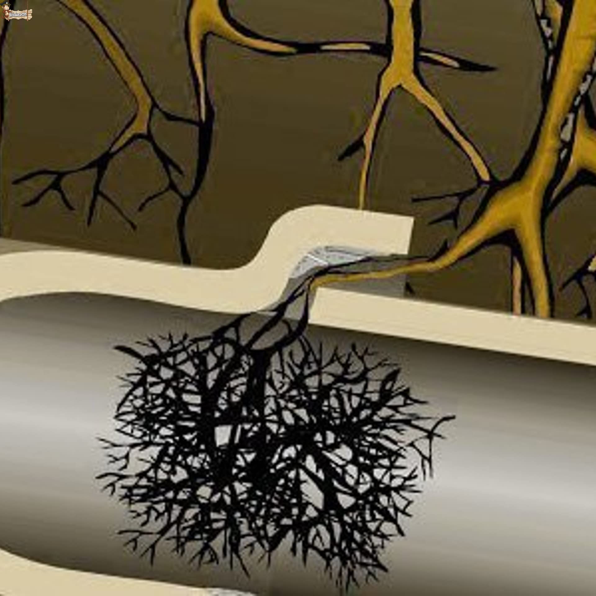 BricoLoco.com Tela antiraices. Malla geotextil en lámina. Impide el Crecimiento de raíces de árboles o Plantas a Lugares no deseados. Protege Cables, tuberías, Piscina, Estanque. (0,65x10 MTS.)
