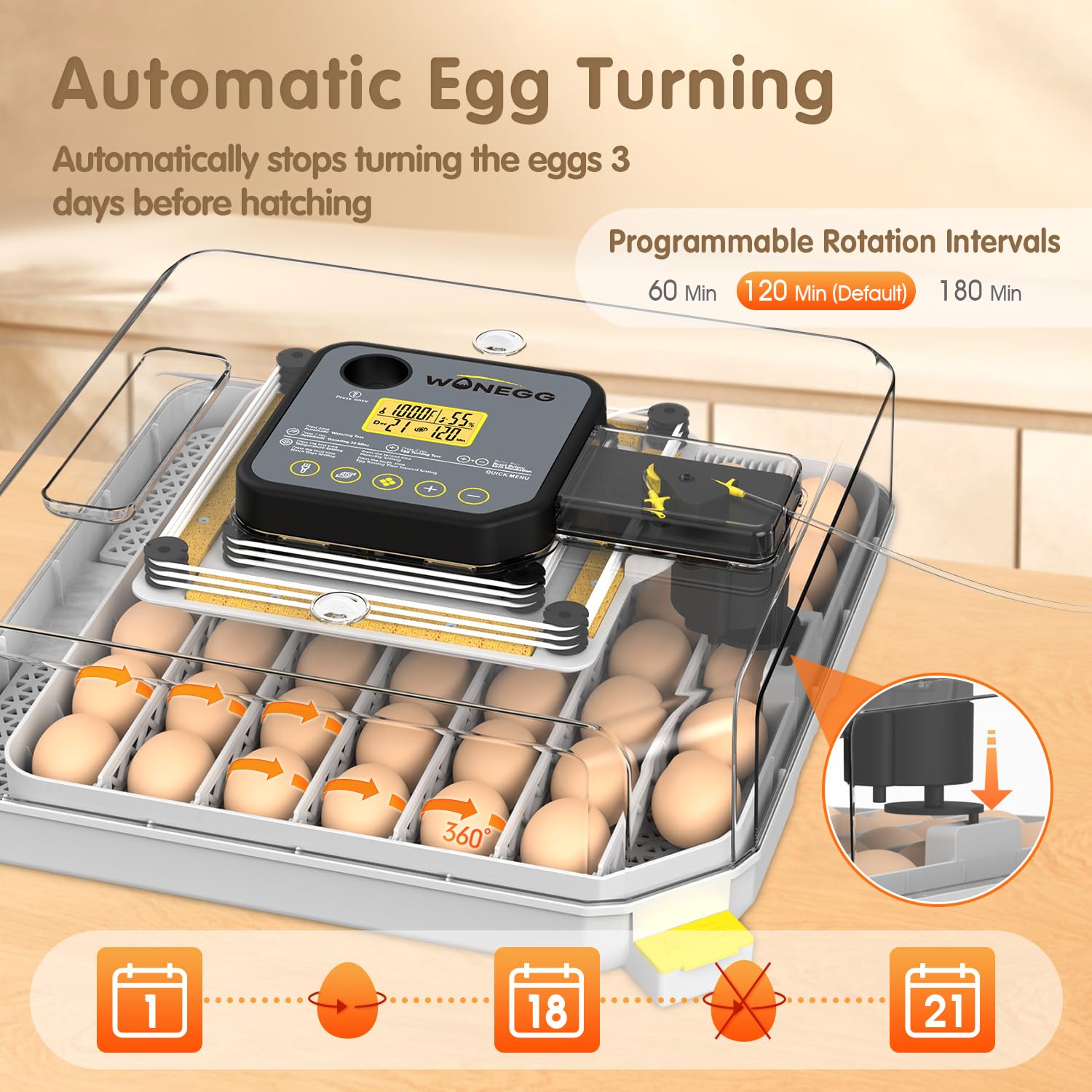 Incubadoras para incubar huevos, incubadora de huevos para laboratorio, granja doméstica con giro automático de huevos para pollo, patos, ganso, codorniz, 48 huevos