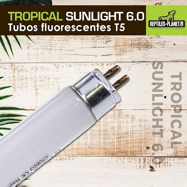Foto 2 de 7 de Reptiles-Planet - Tropical Sunlight 6.0 - T5 para Reptiles - 8 W - 29 cm