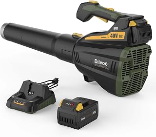 Diivoo Cordless Leaf Blower with 40 V Brushless Motor, 480-CFM/92-MPH Lightweight, Handheld, 2.5 Ah Battery-Powered Blower for Patios and Yards