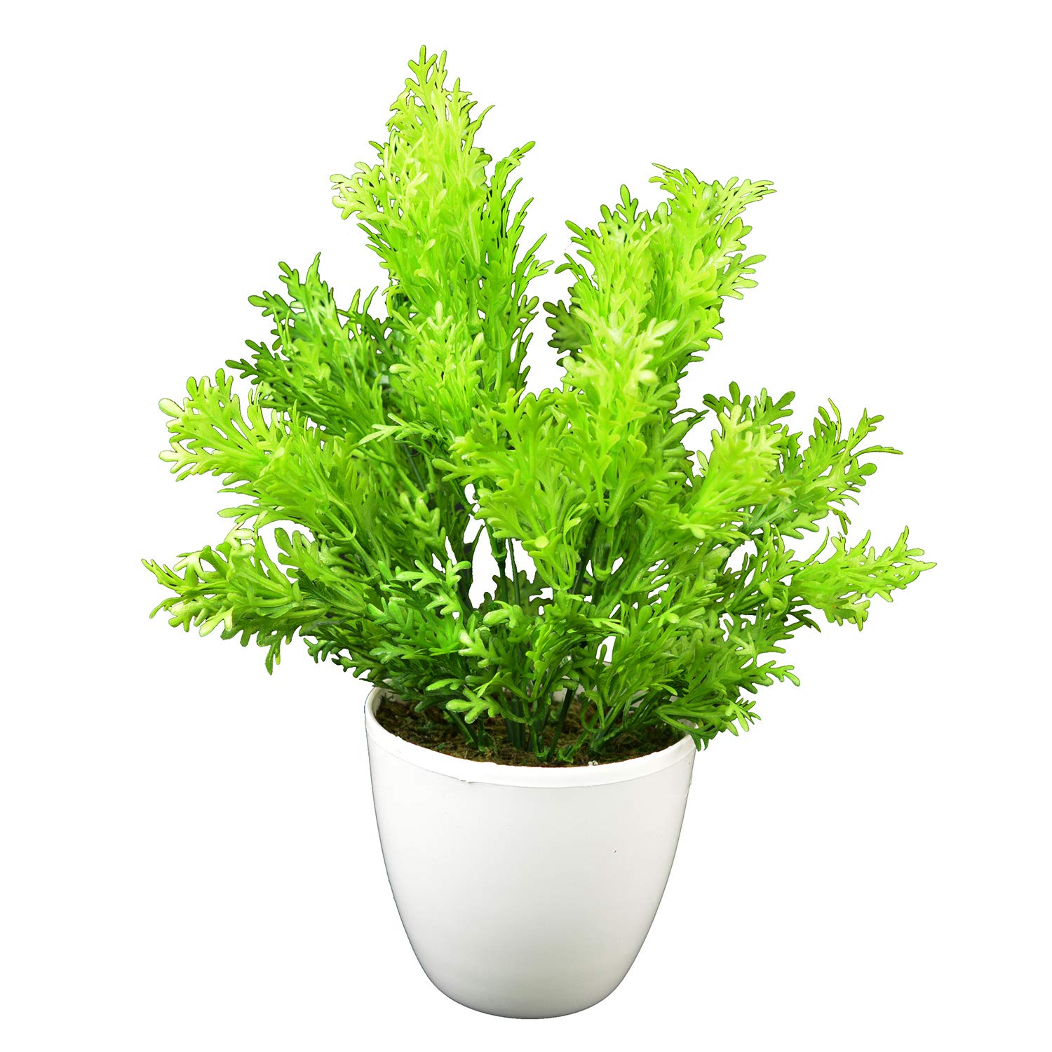 fancymart Artificial Plants Parsley Leaves in Round Pot (28 cm