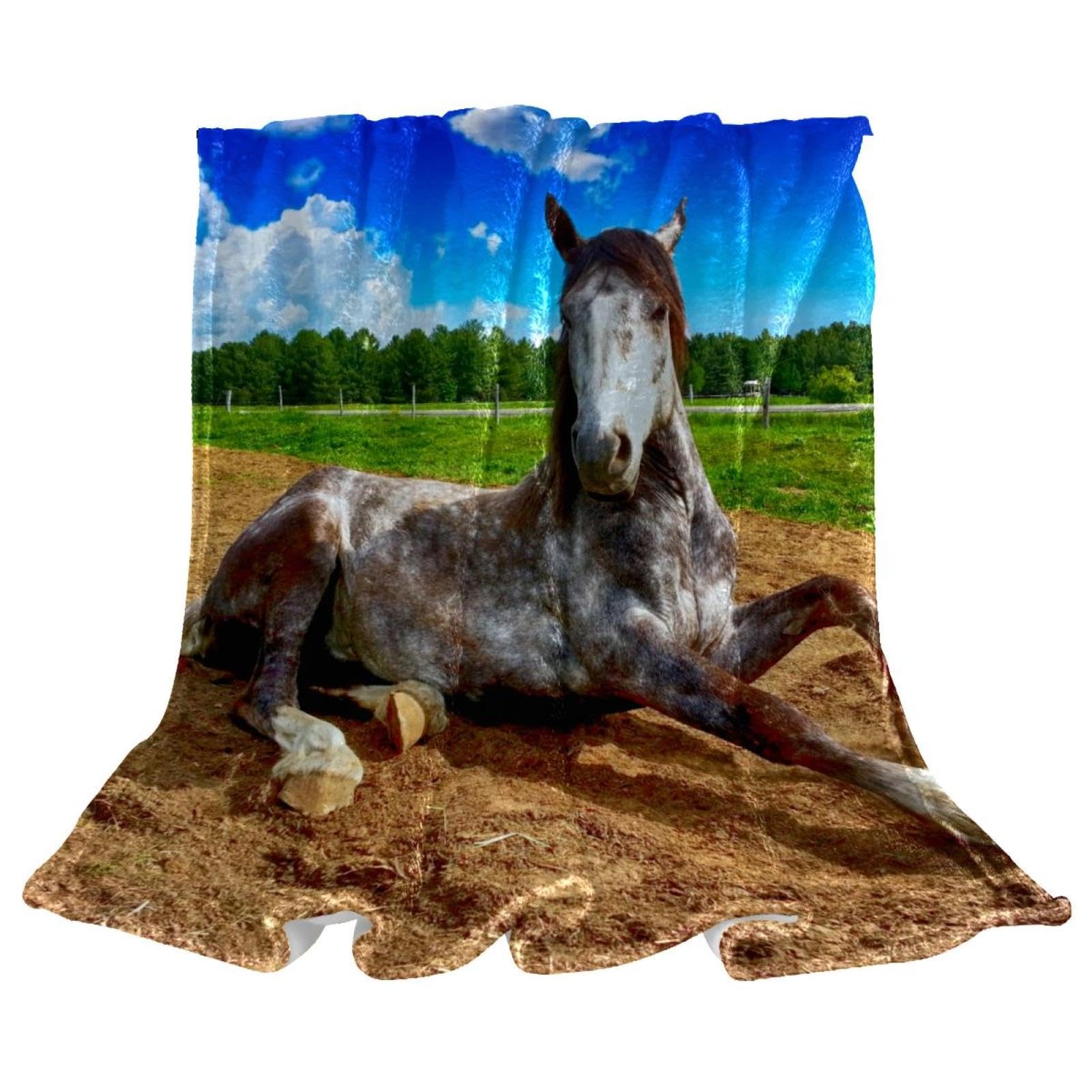 Couverture polaire cheval du ciel douce et chaude de 150x100 cm pour lit et canapé