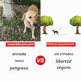 Ver la foto 6