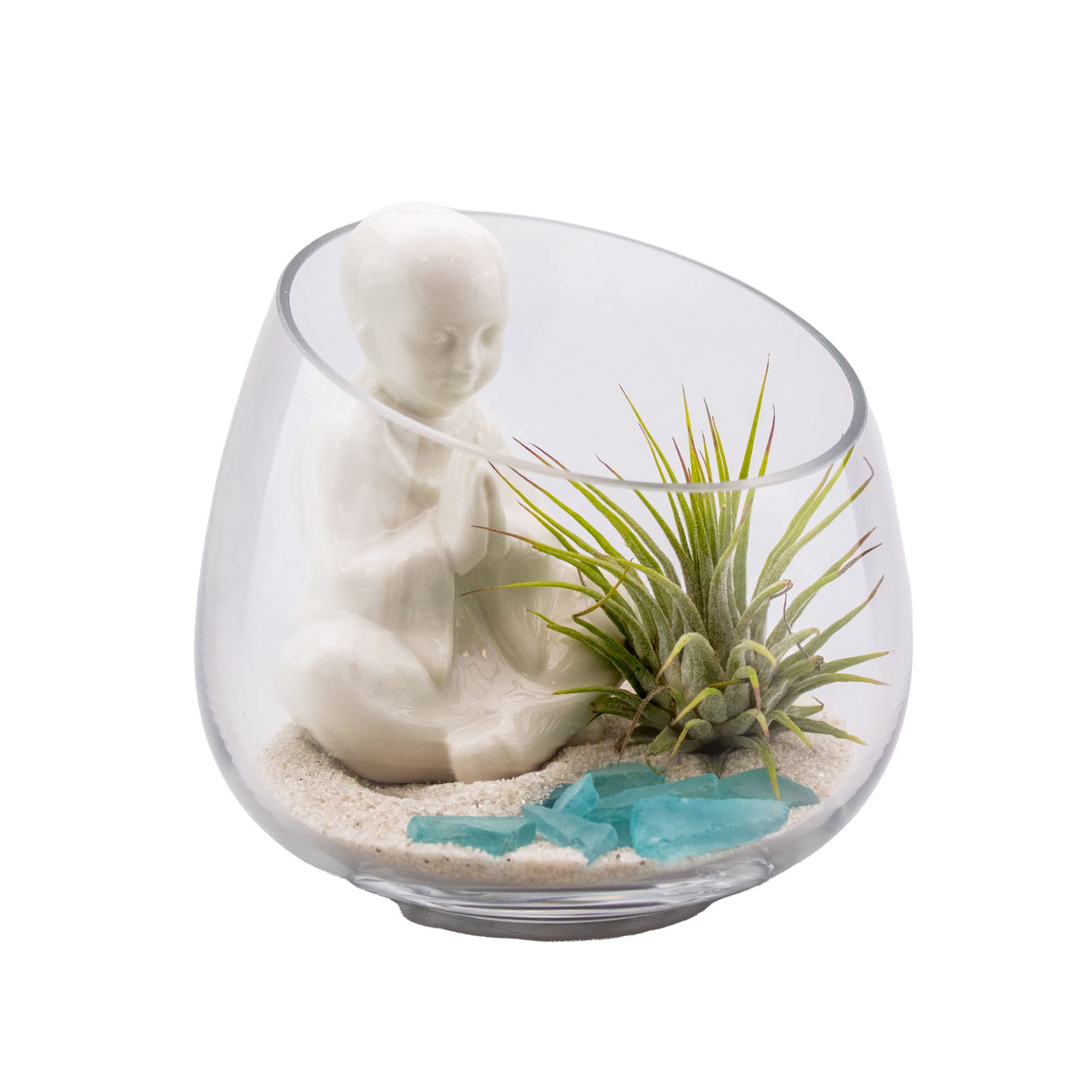 succulent hanging plant Succulent Hanging Basket  Liberty Landscape Supply