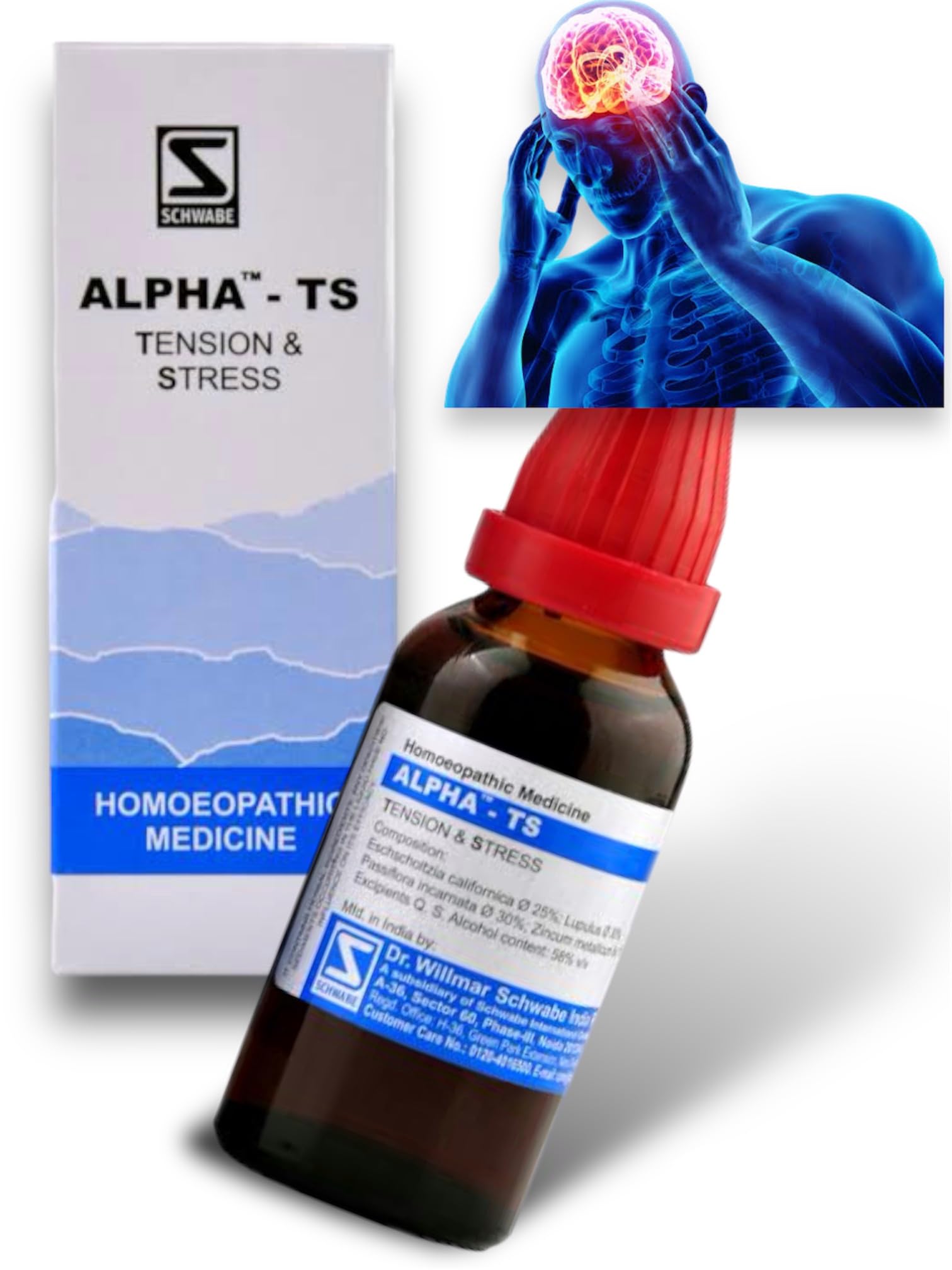 Schwabe Alpha TS Tension And Stress Homeopathic Medicine Drops - 30ml (B0CH982JPB) Amazon Price History, Amazon Price Tracker