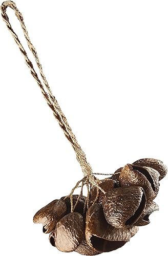 Meinl Sonic Energy Seed Shell Shaker Percussion Instrument — Nature Sounds for Meditation, ASMR, Sound Therapy, Yoga - Pangi Seeds