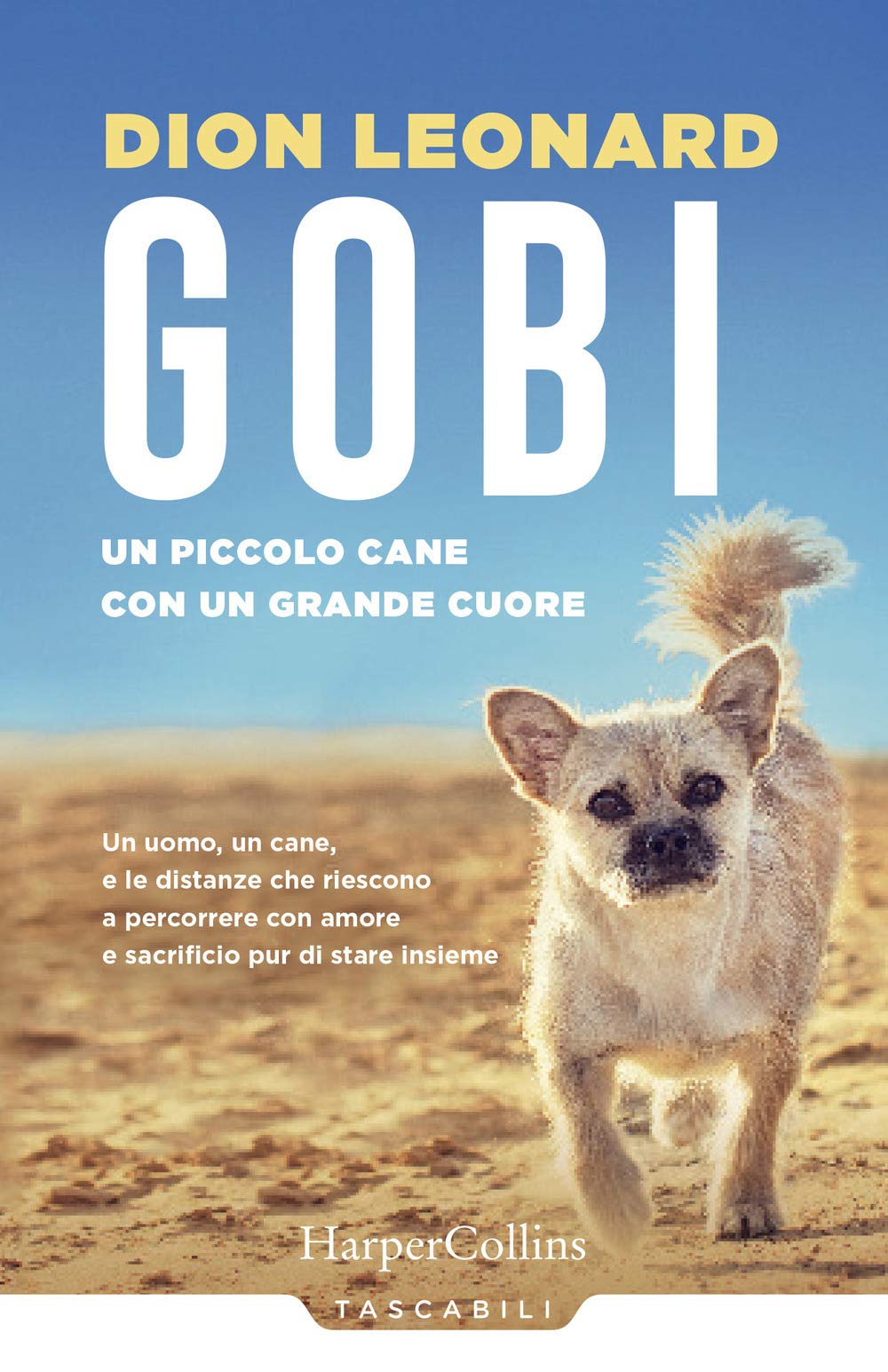 Gobi. Un Piccolo Cane Con Un Grande Cuore - 4