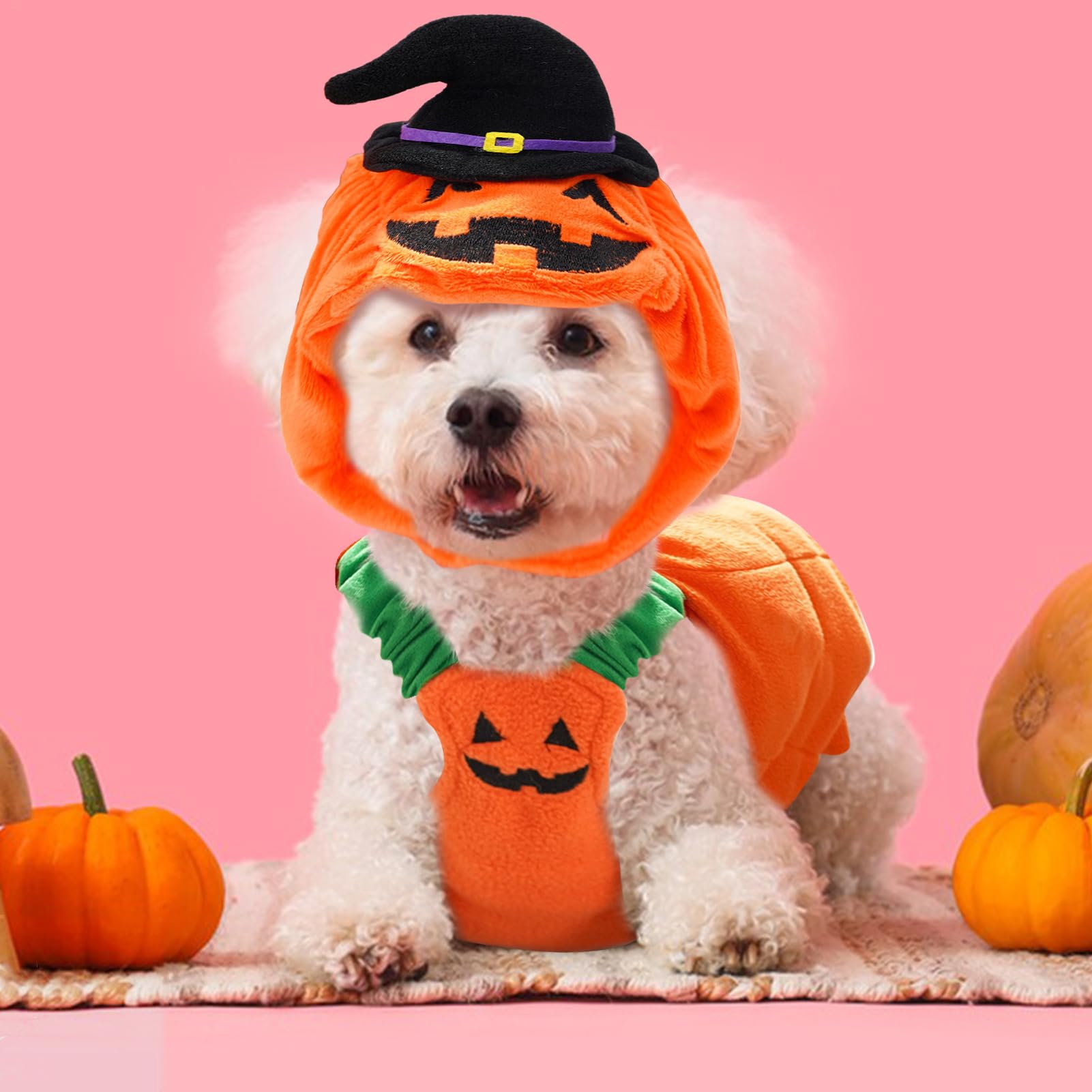 Travestimento per Cani a Forma di Cosplay Halloween Per Animali | Vestito Caldo Canino Adatto Per Feste A Tema, Sessioni Fotografiche, Passeggiate Quotidiane, Autunno E Inverno