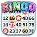 BINGO HEAVEN! - Free Bingo Games! Download to Play for free Online or Offline!