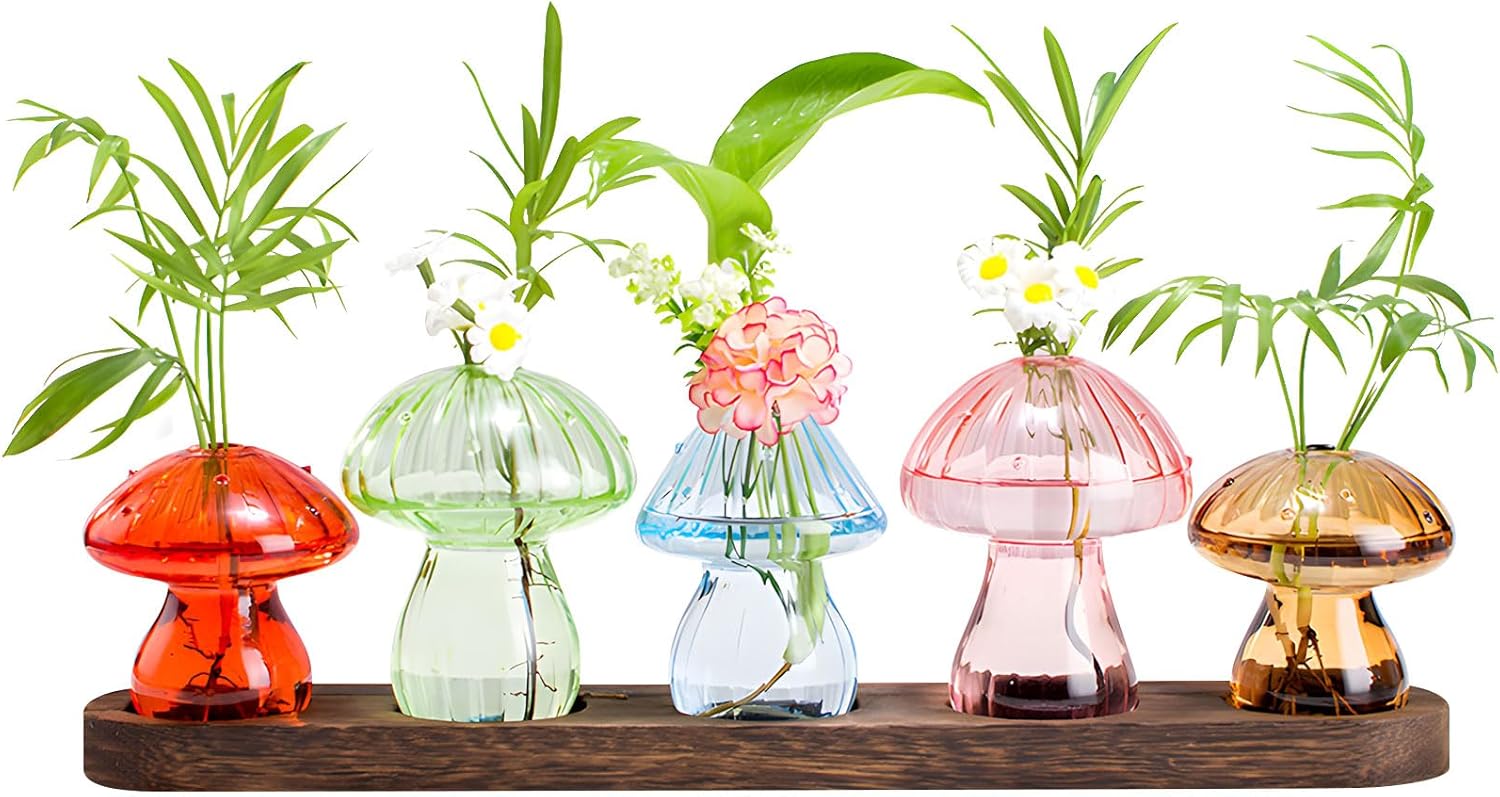 ordinarYone Plant Propagation Station,3/5Pcs Hydroponics Mushroom Vases,Small Terrarium,Crystals Mushroom Jars for Plant