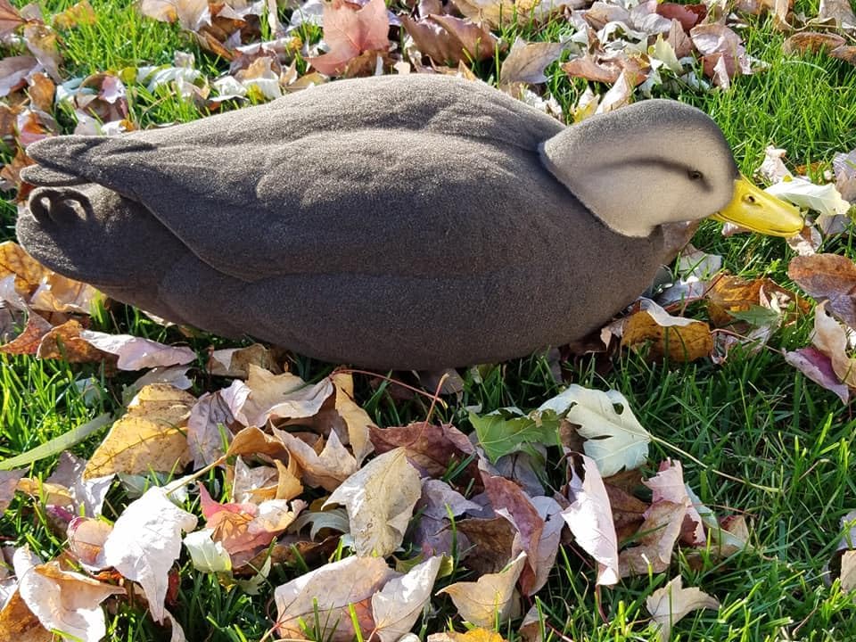 Black Duck Full Body Flocking Kit