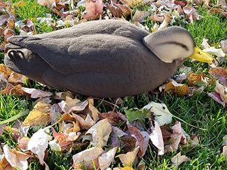 Black Duck Full Body Flocking Kit