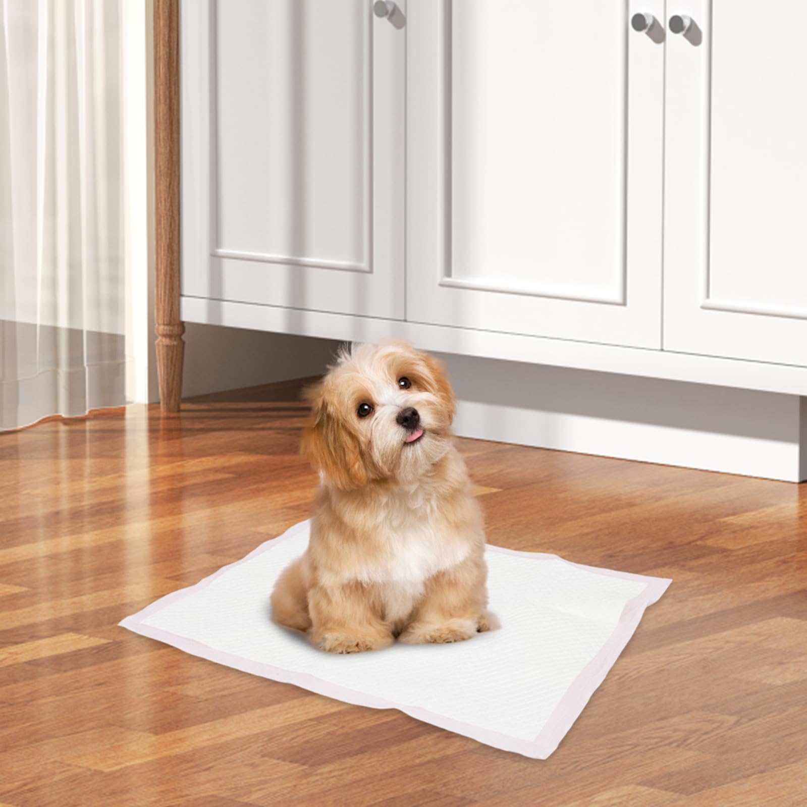 VICASKY Alèses d'apprentissage Propreté Super Absorbantes pour Chiens et Lapins, Tapis Jetable Épais Protection Anti-Fuite, Lot de 50 Pièces pour Voyage et Entraînement