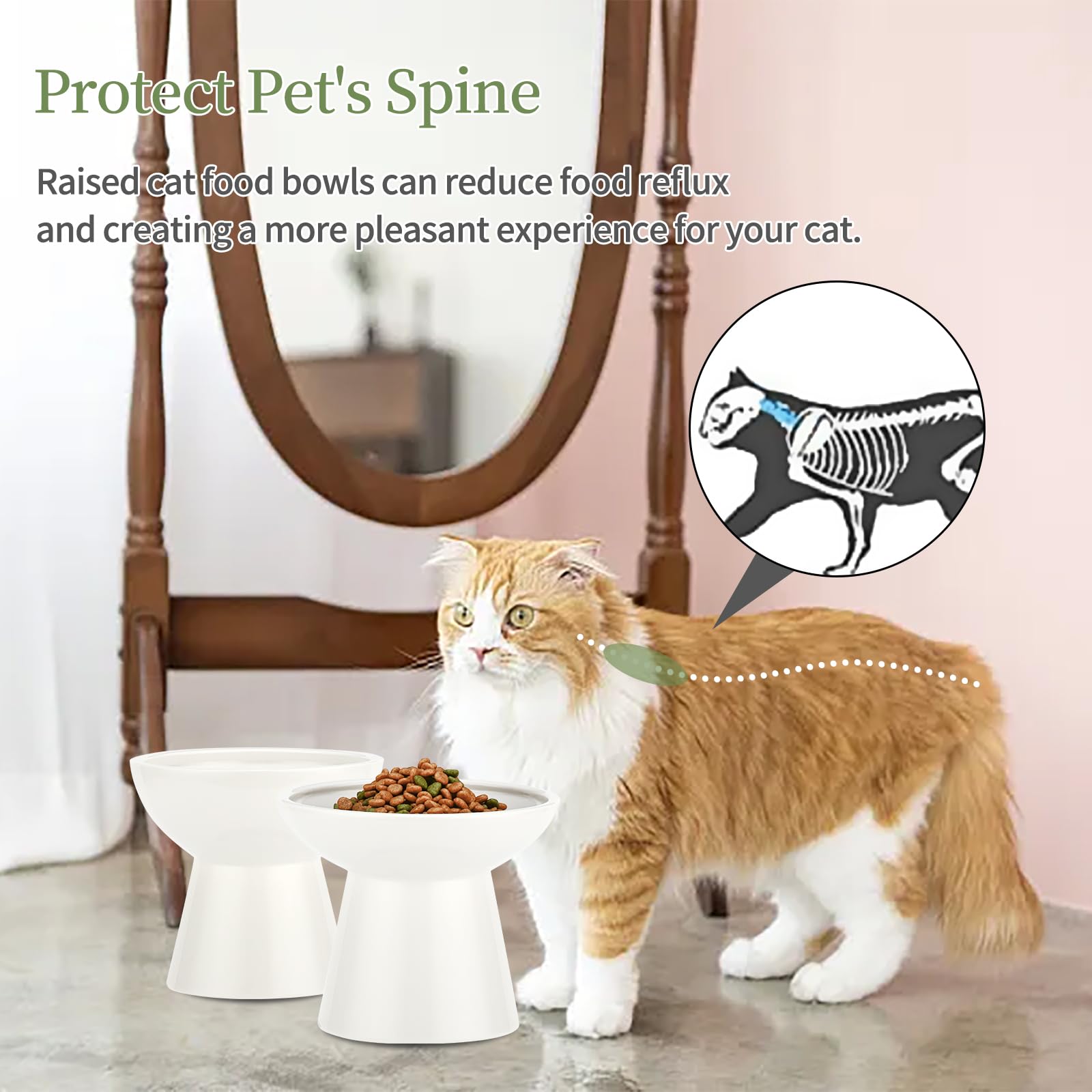6-2inch-extra-wide-elevated-cat-bowls-set-of-2-stress-free-raised-cat