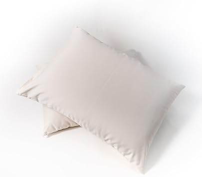 Organic Choice Kapok Bed Pillow - Standard