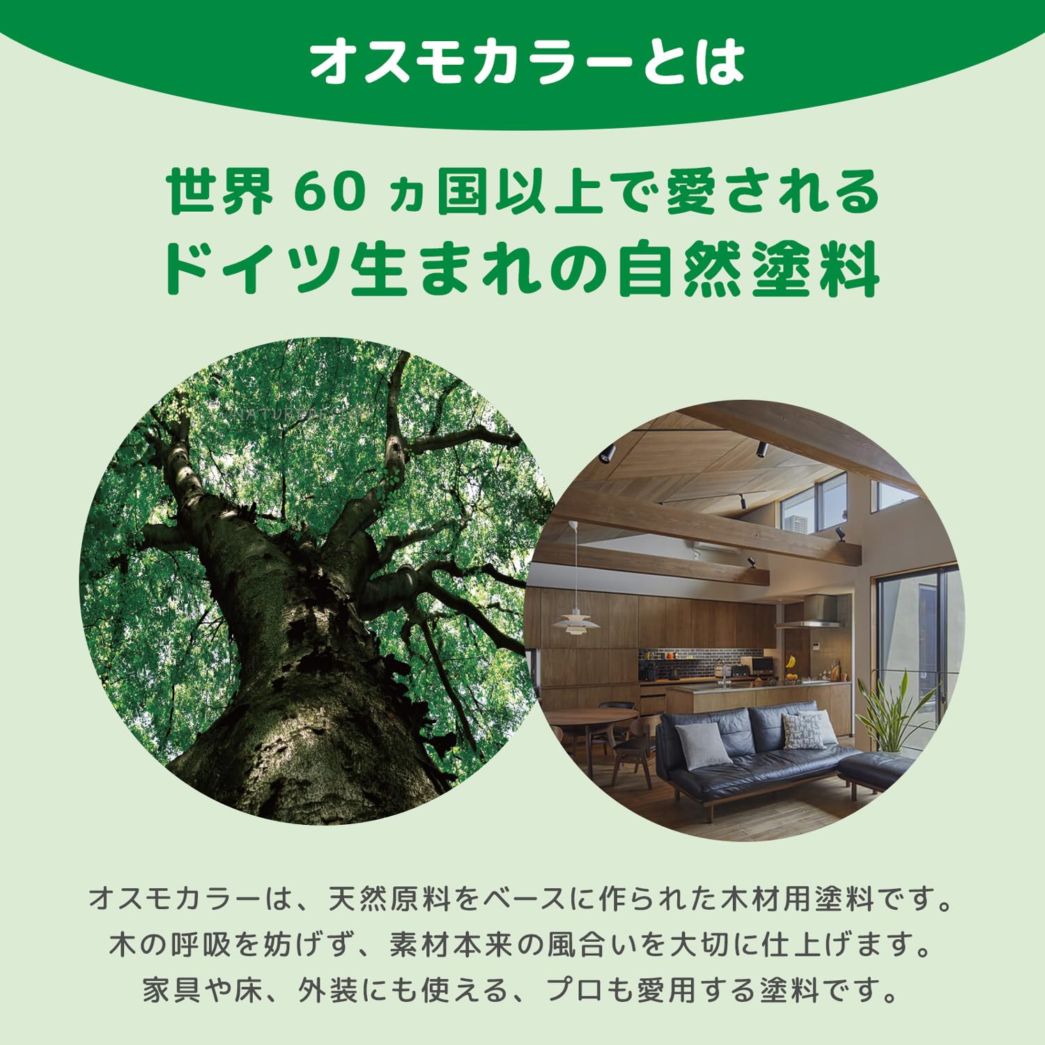 Amazon | オスモカラー ワンコートオンリー 1242 ファーグリーン 750ml 
