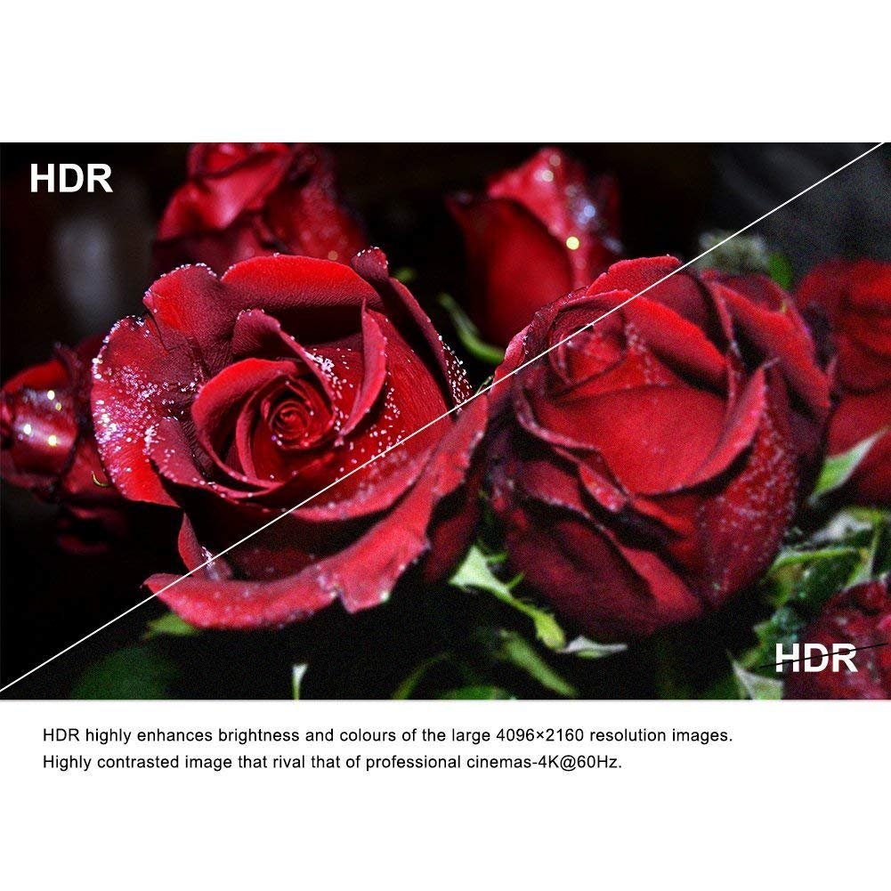 Fiber HDMI Cable 100ft 4K 60Hz, Fiber Optic HDMI 2.0b Cable HDR10, ARC, HDCP2.2, 3D, 18Gbps, Subsampling 4:4:4/4:2:2/4:2:0 Slim and Flexible HDMI Fiber Optic Cable