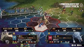 Amazon.co.jp: ブリガンダイン ルーナジア戦記 - Switch : ゲーム