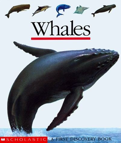 Whales (First Discovery Books)