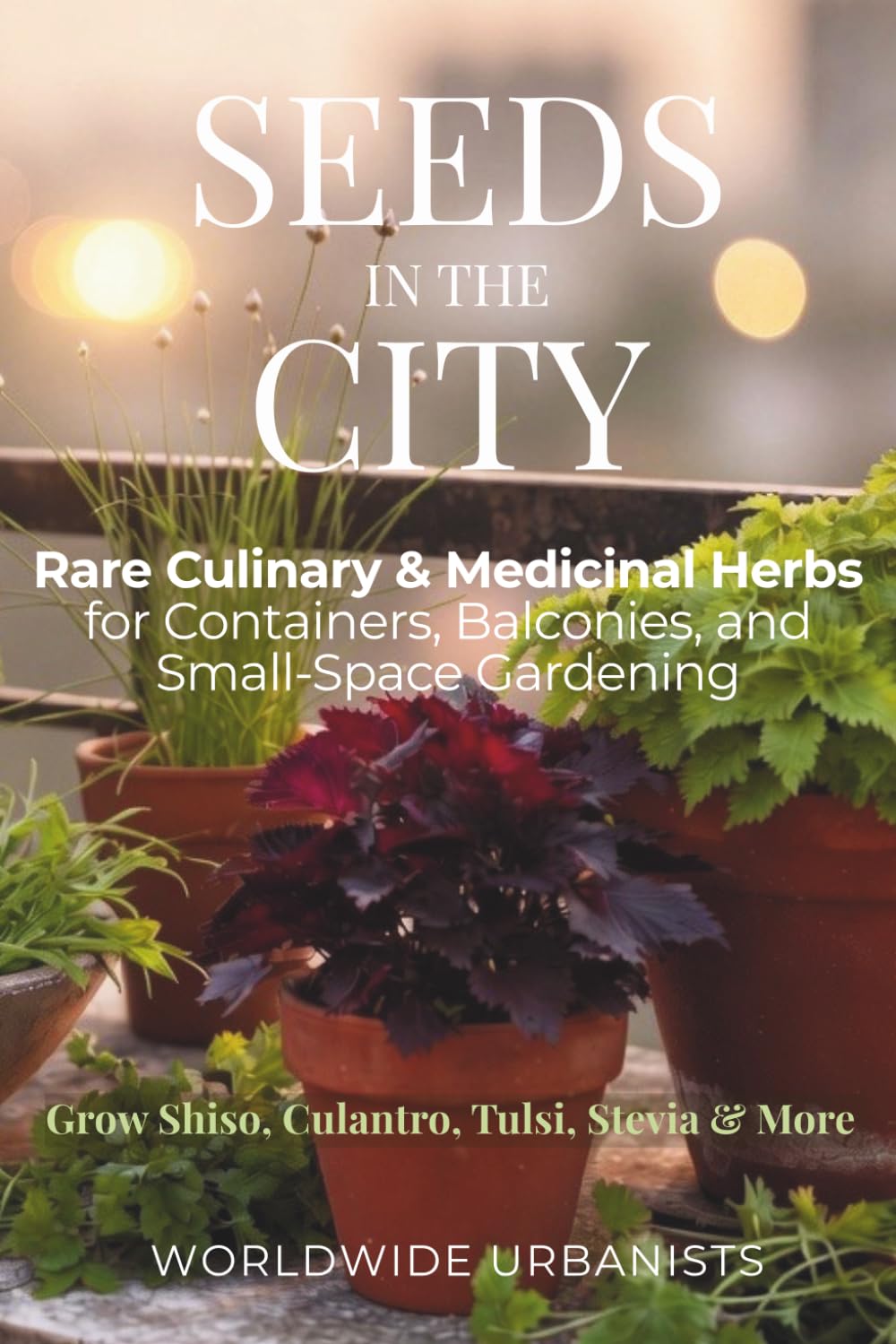 Seeds in the City: Rare Culinary & Medicinal Herbs: For Containers, Balconies, and Small-Space Gardening